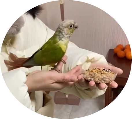 图片2.jpg 图片2.jpg