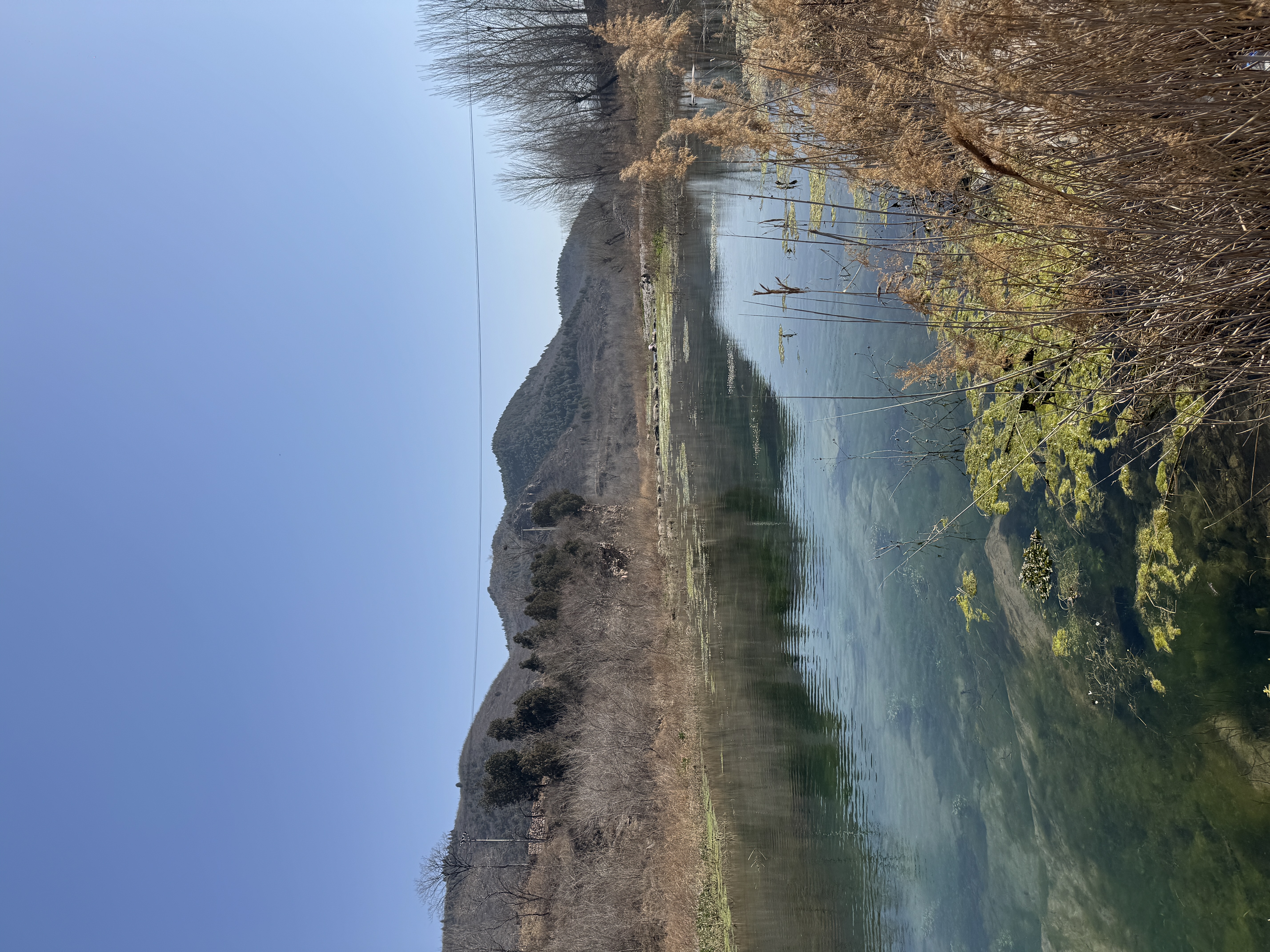 IMG_6502.JPG IMG_6502.JPG