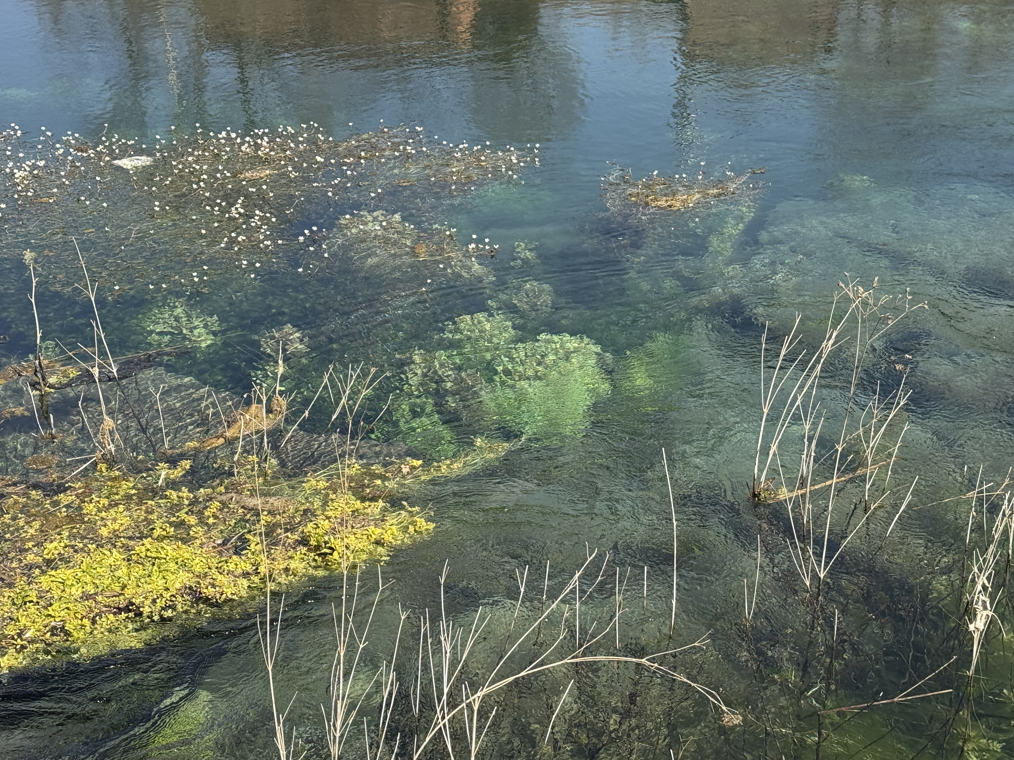 IMG_6509.JPG IMG_6509.JPG